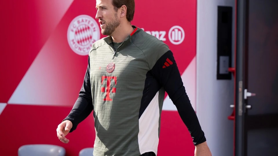 entit, 哈里, 一个过去一