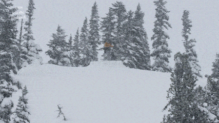 帮忙补充一, 成为第一位